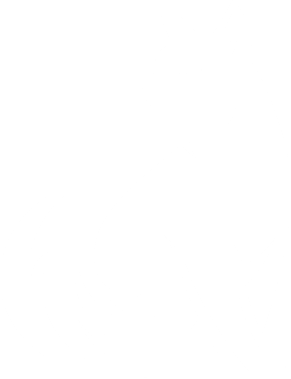 Nine Lives Development